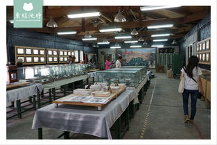 廠文青的時光之旅 在臺東糖廠文創展覽與DIY中重拾文藝創作